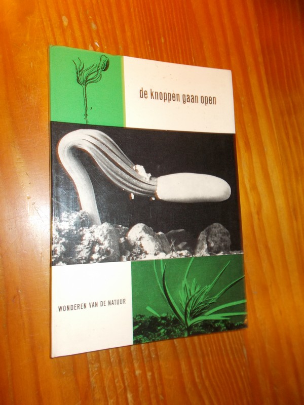 GUILCHER, J.M., - De knoppen gaan open.