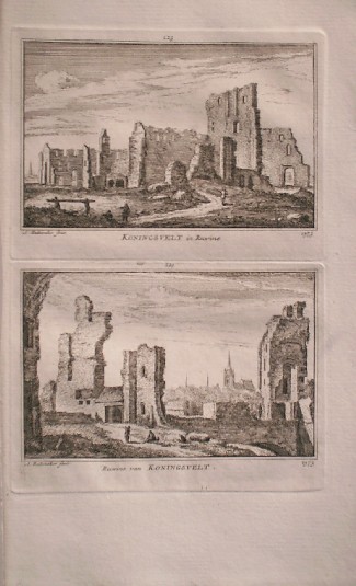antique print (prent) - (Delft). Ruwine van Koningsvelt. (Koningsveld). Met op de achtergrond de stad Delft.