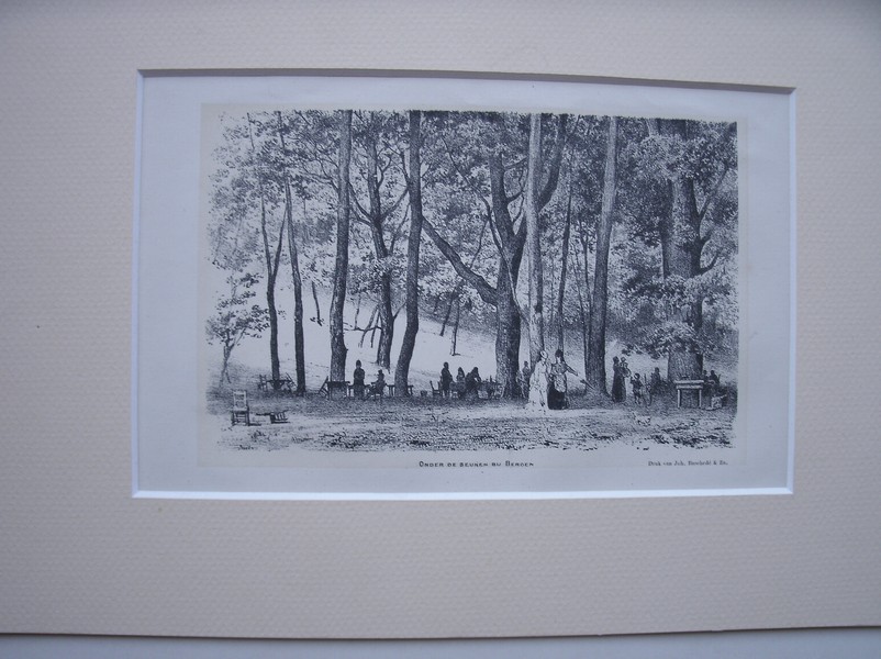 antique print (prent) - Onder de beuken bij bergen. (Noord-Holland).