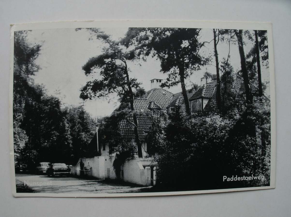 postcard. ansichtkaart. postkarte. - Nunspeet. Paddestoelweg.