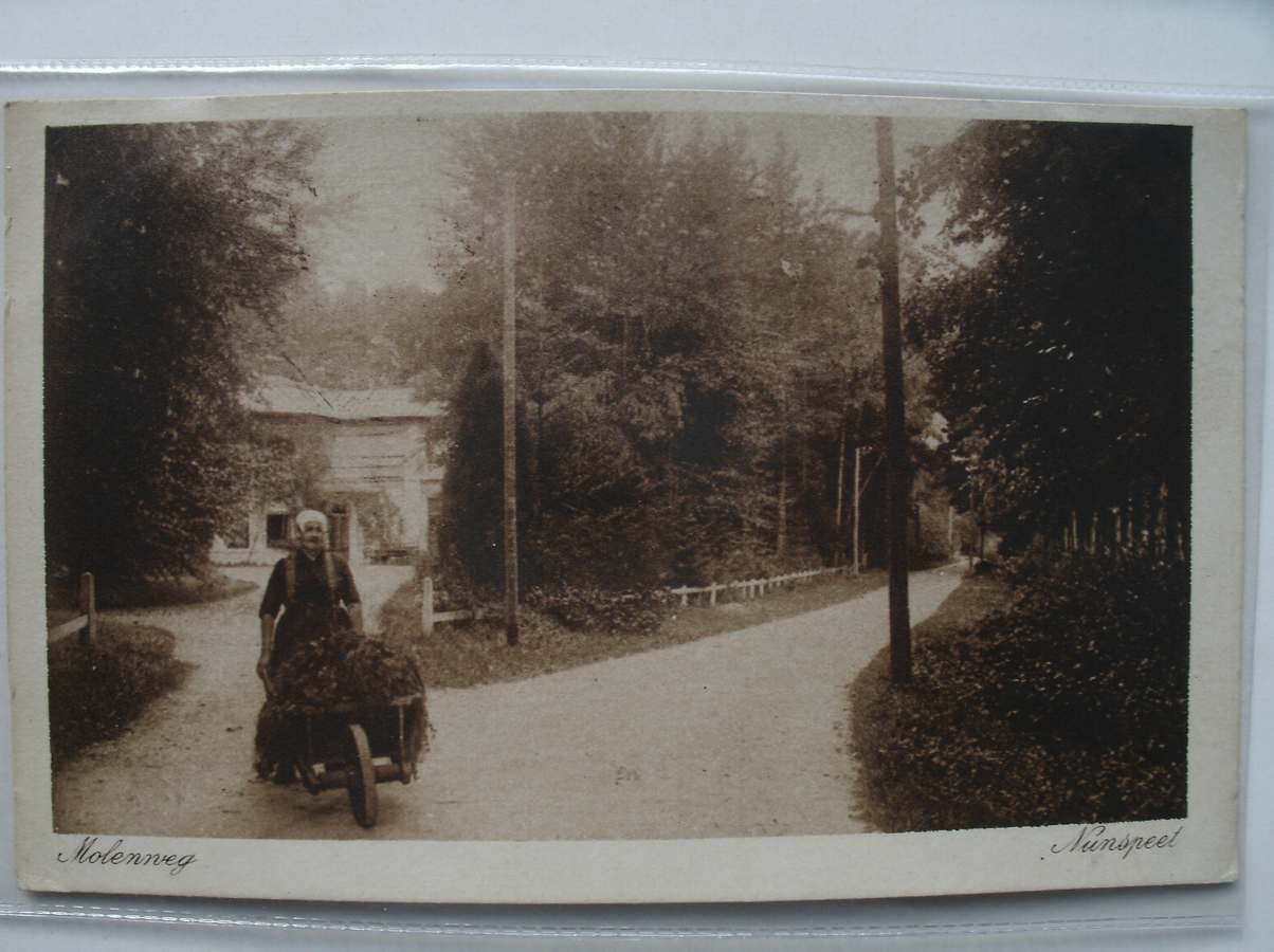 postcard. ansichtkaart. postkarte. - Nunspeet. Molenweg.