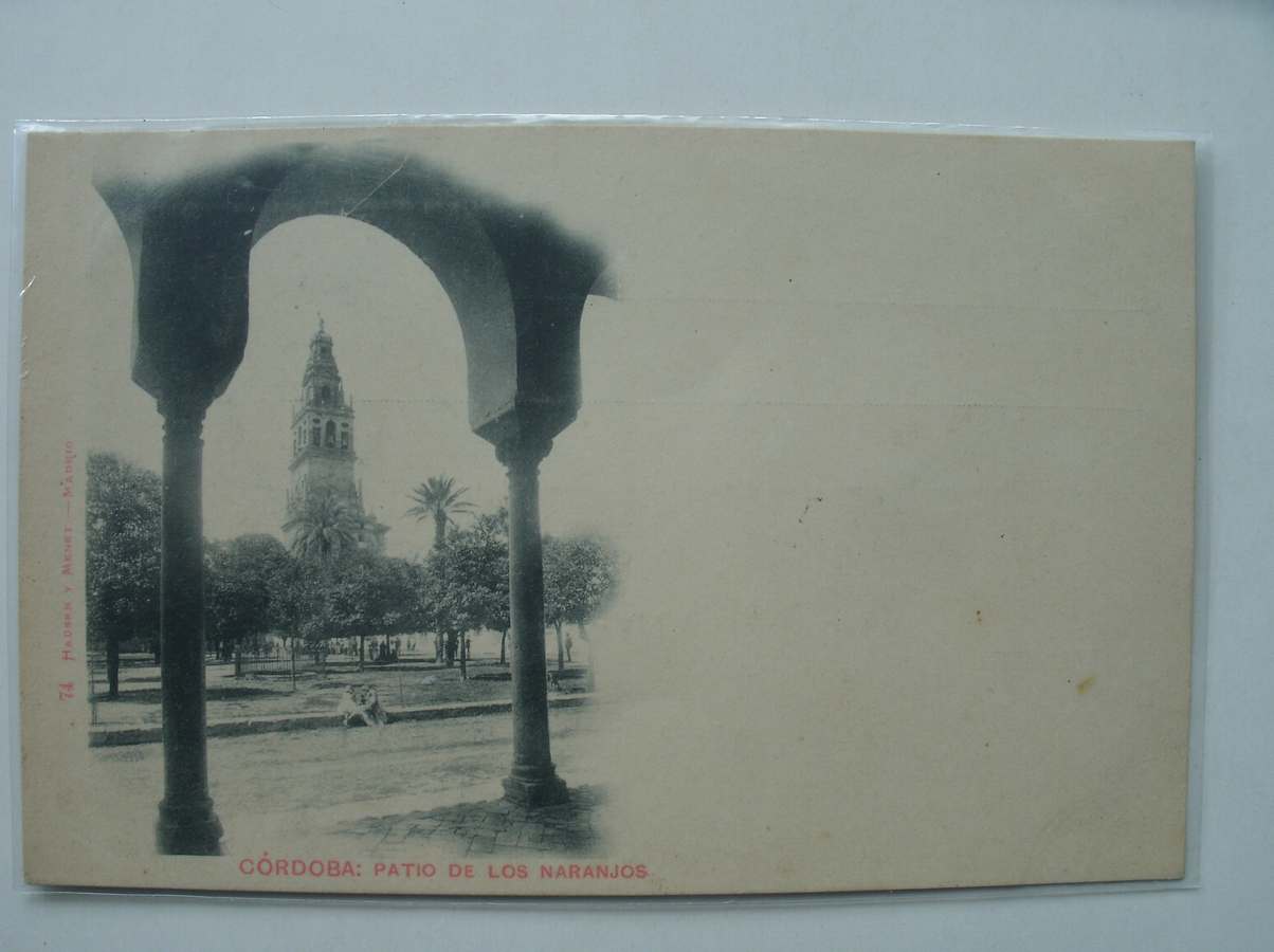 postcard. ansichtkaart. postkarte. - Cordoba. Patio de los Naranjos.