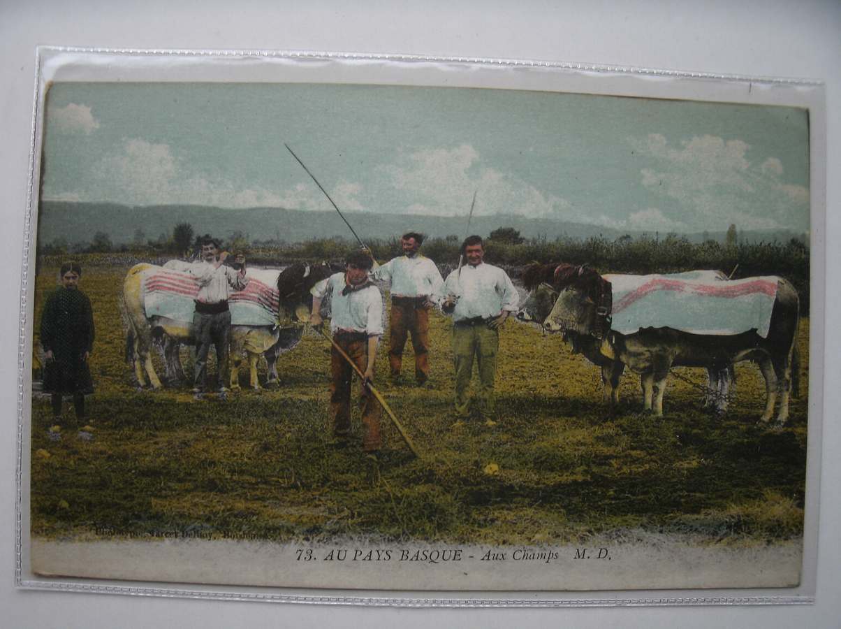 postcard. ansichtkaart. postkarte. - Aux Pays Basque. Aux champs. (Baskenland).