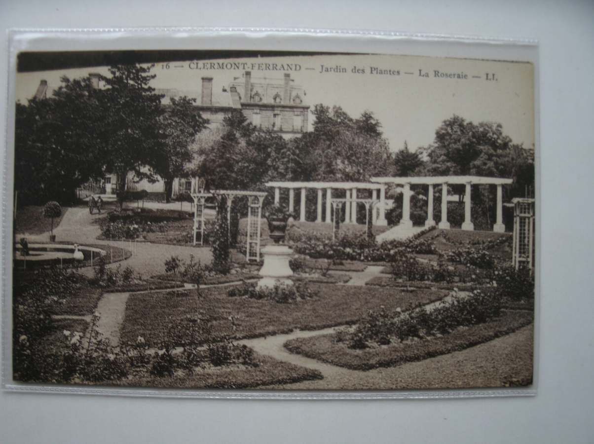 postcard. ansichtkaart. postkarte. - Clermont-Ferrand. Jardin des Plantes. La Roseraie.