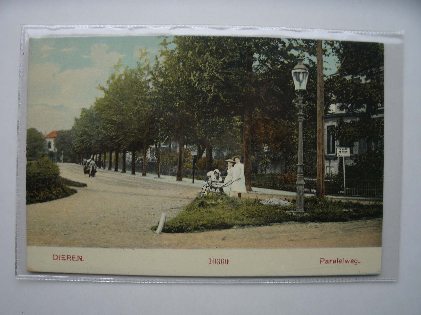 postcard. ansichtkaart. postkarte. - Dieren. Paralelweg.