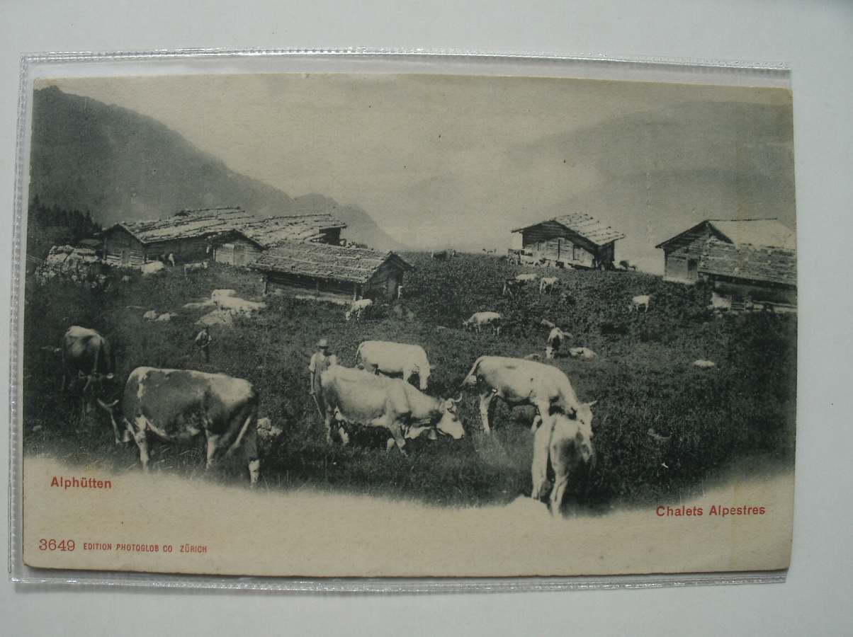 postcard. carte postale. postkarte. - Alphutten. Chalets alpestres.