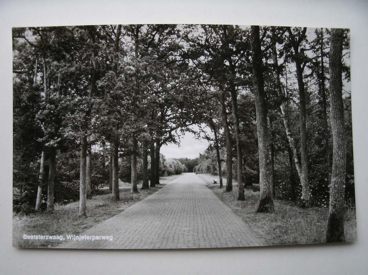 ansichtkaart. postcard. carte postale. - Beetsterzwaag. Wijnjeterperweg.