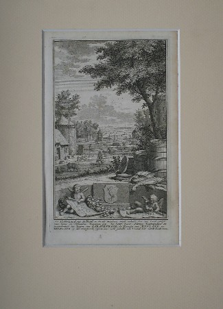 antique print (prent) - Het platteland van Holland. Den Haag, Rijnland, Delfland. Uit tegenwoordige staat van Holland.
