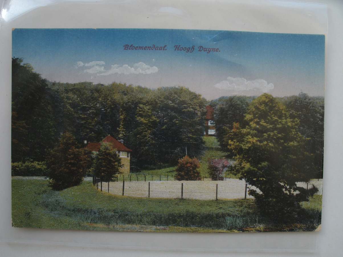 postcard. ansichtkaart. postkarte. - Bloemendaal. Hoogh Duyne.
