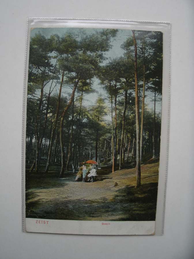 postcard. ansichtkaart. postkarte. - Zeist. Bosch.