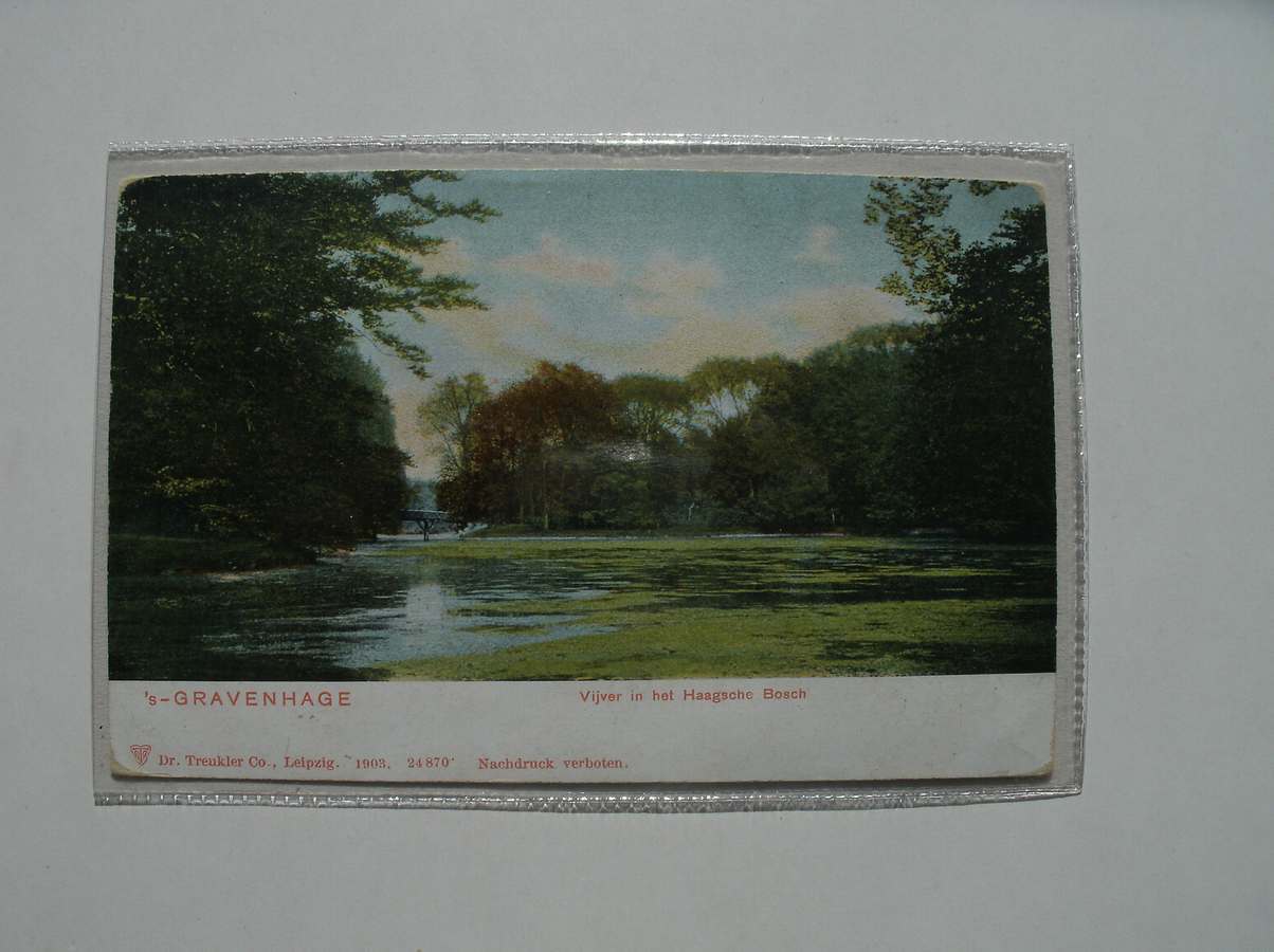 postcard. ansichtkaart. postkarte. - Den Haag. Vijver in het Haagsche Bos.