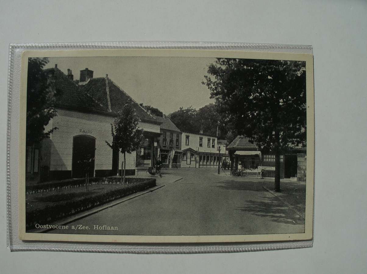 postcard. ansichtkaart. postkarte. - Oostvoorne a/ zee. Hoflaan.