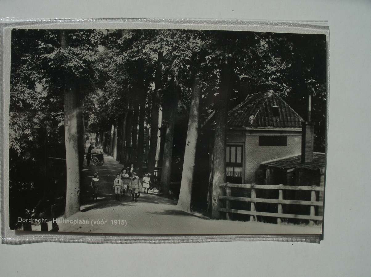 postcard. ansichtkaart. postkarte. - Dordrecht. Hallinoplaan (voor 1915).