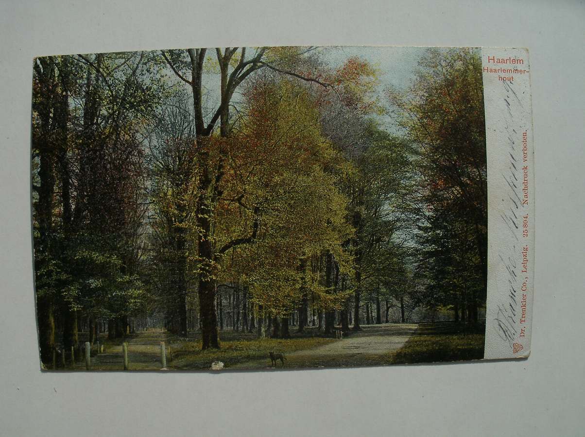 postcard. ansichtkaart. postkarte. - Haarlem. Haarlemmerhout.