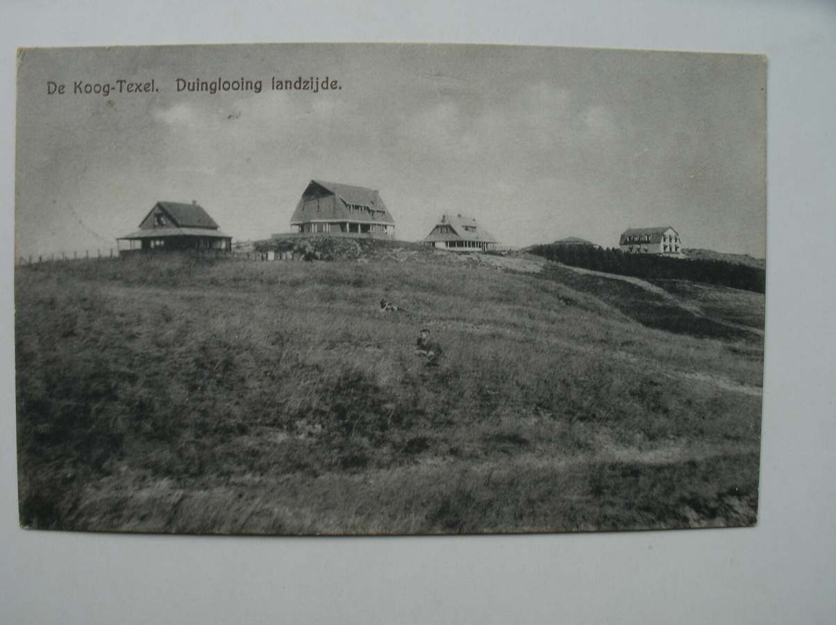 postcard. ansichtkaart. postkarte. - De Koog. Texel. Duinglooing landzijde.