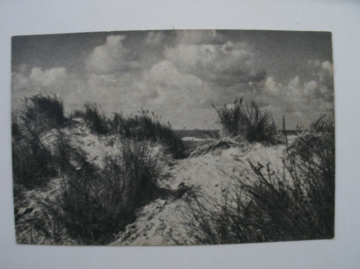 postcard. ansichtkaart. postkarte. - Camperduin. Y. Minkema & zonen. 44. Helmduin.