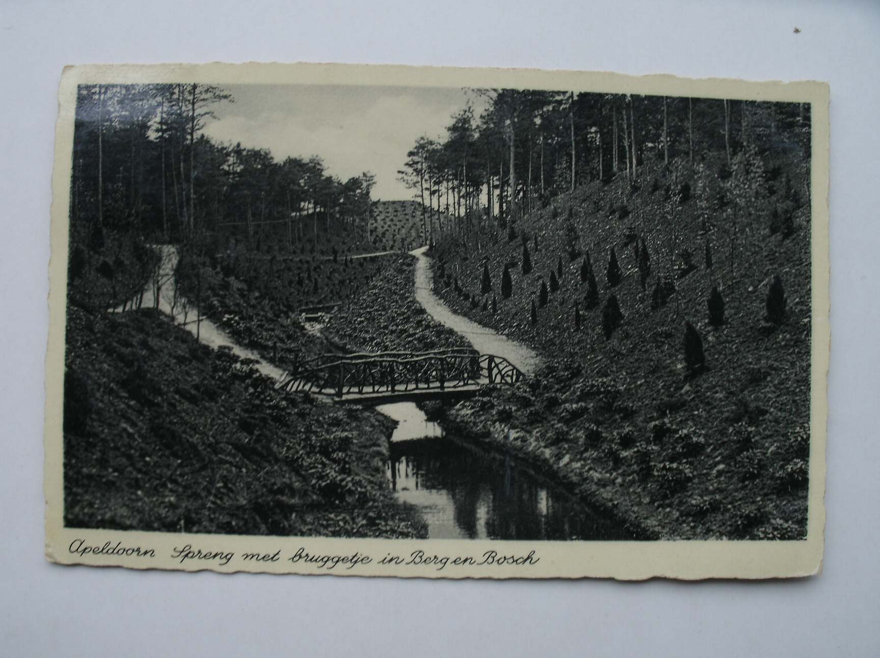 postcard. ansichtkaart. postkarte. - Apeldoorn. Spreng met bruggetje in Berg en Bosch.