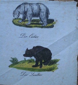 antique print (prent) - Der Eisbar. Der Landbar.