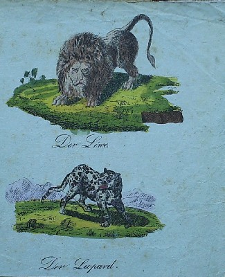 antique print (prent) - Der lowe. Der leopard.
