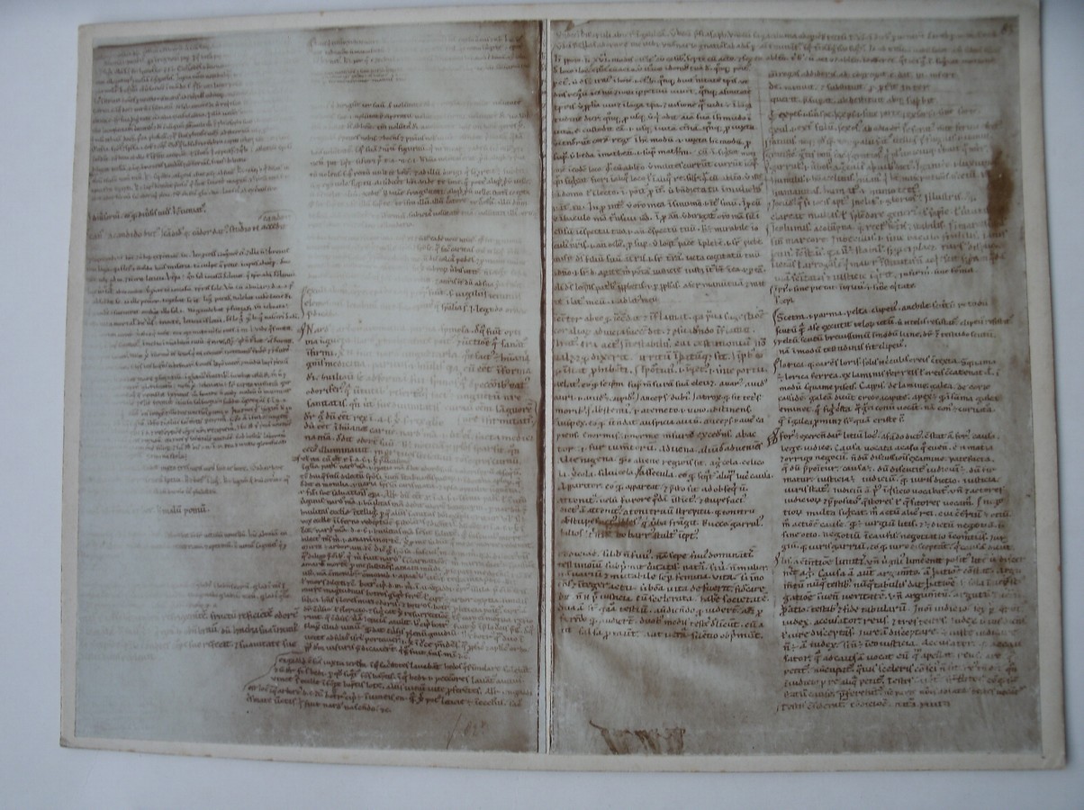 foto. photograph. - Foto van handschrift. Manuscript. (J. Goedeljee).