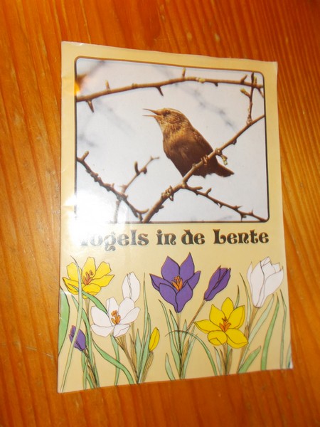 HAMMOND, N., - Vogels in de lente.