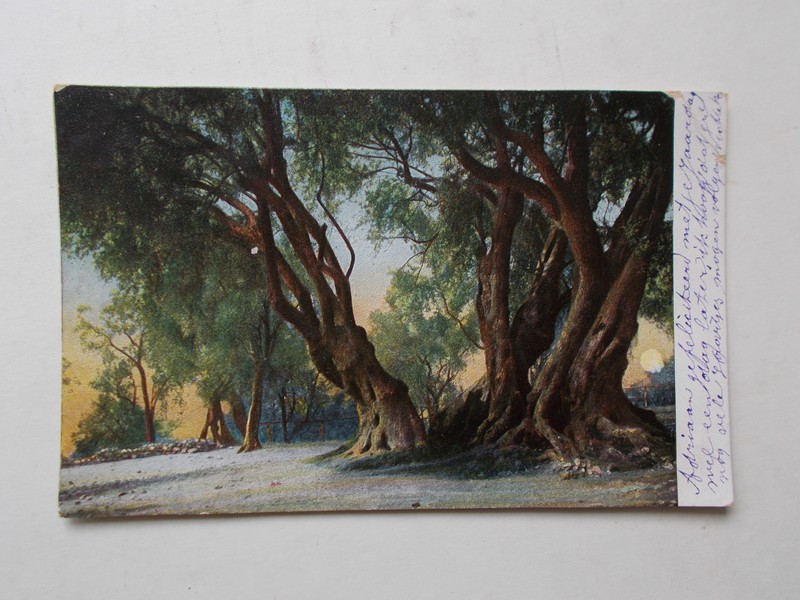 postcard. ansichtkaart. postkarte. - T.E.L. serie Italianische Landschaften.