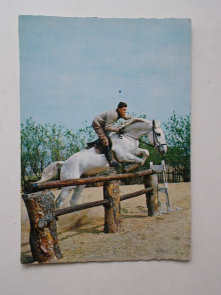 postcard. ansichtkaart. postkarte. - (paarden) Ruiter op springpaard.