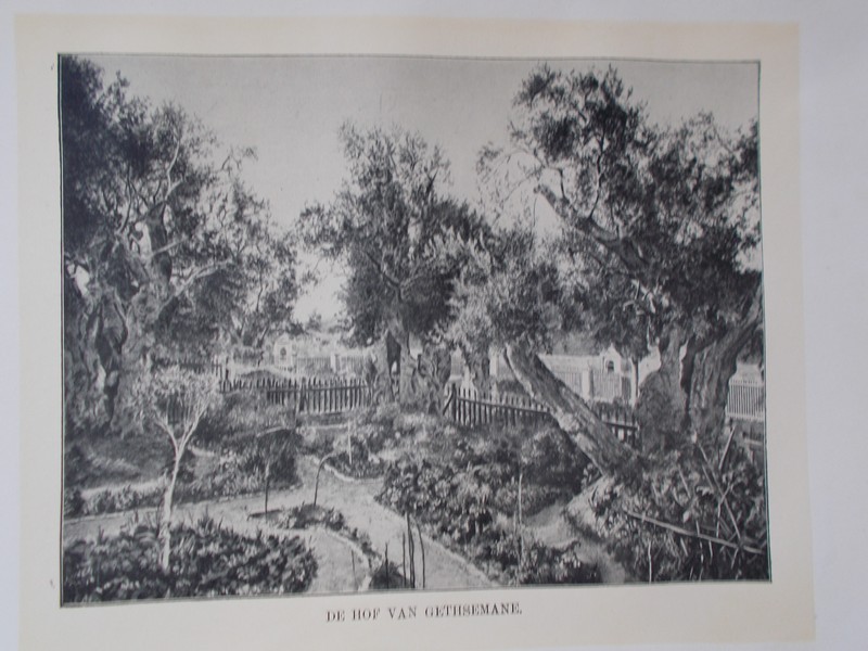 antique print (prent). - Het hof van Gethsemane.