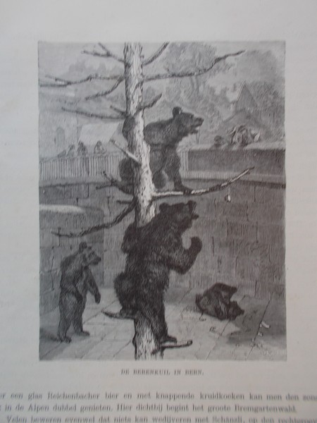 antique print (prent) - De berenkuil in Bern.