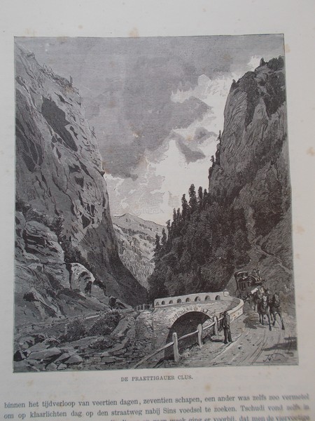 antique print (prent) - De Praetitiauer Clus. (Horses).