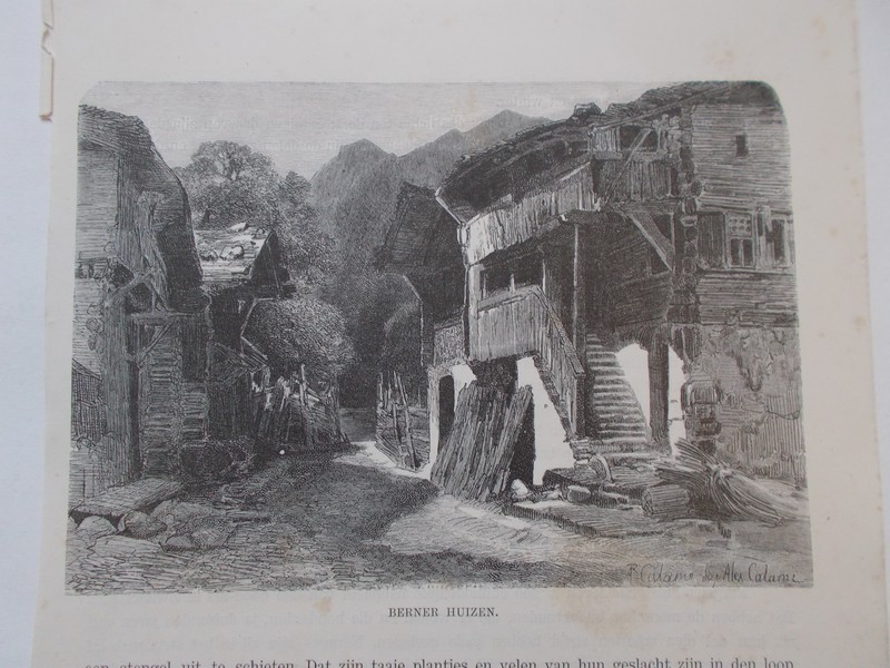 antique print (prent) - (Bern). Berner huizen.