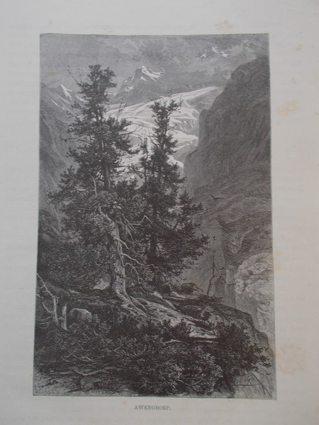 antique print (prent) - Awenggroep.