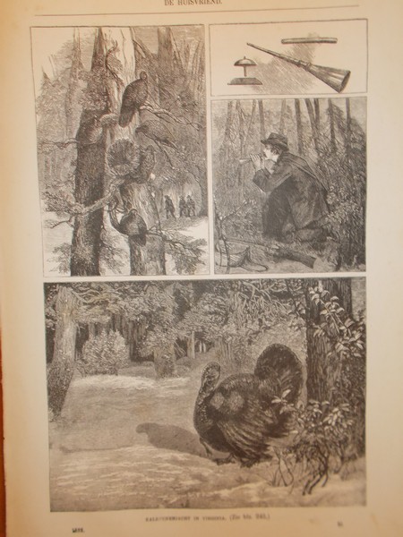 antique print (prent) - (Hunting). Kalkoenenjacht in Virginia.
