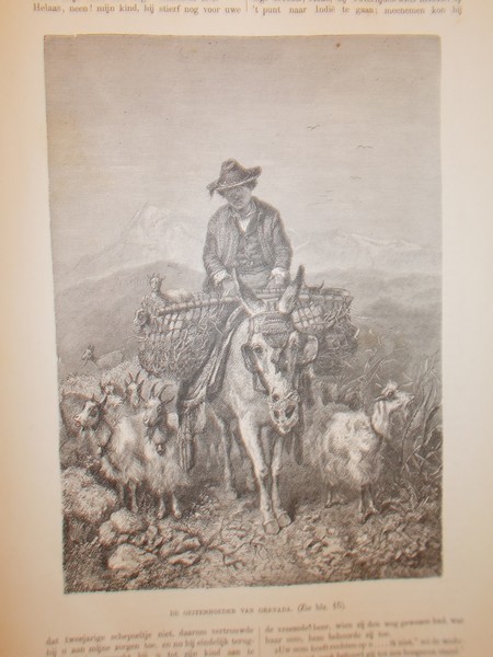 antique print (prent) - De geitenhoeder van Granada.
