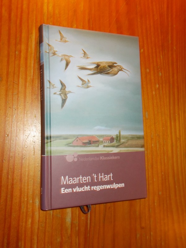 HART, MAARTEN 'T, - Een vlucht regenwulpen.