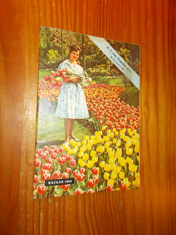 red. - A.L. van Engelen. Hillegom.