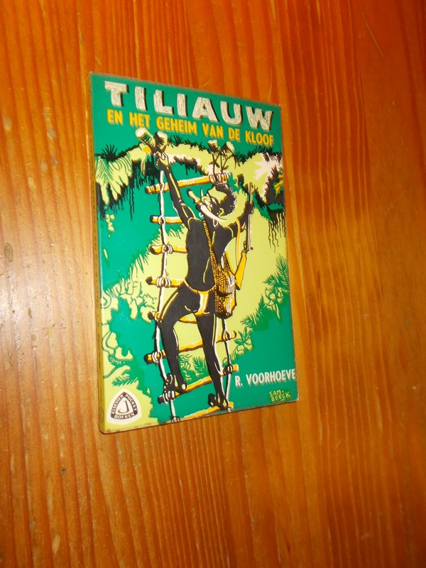 VOORHOEVE, R., - Tiliauw en het geheim van de kloof.